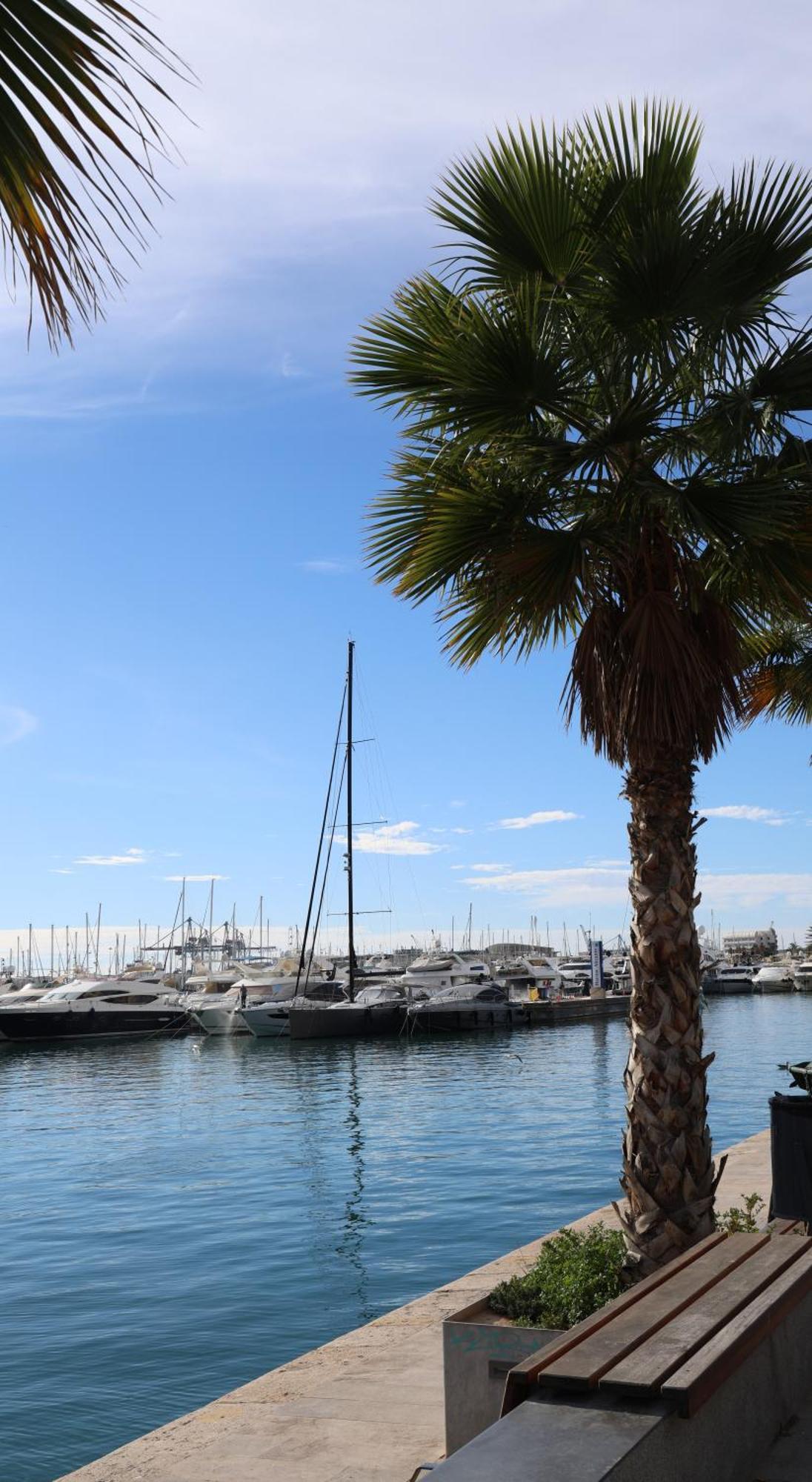 Alicantan Vital Experience Alicante Exterior photo