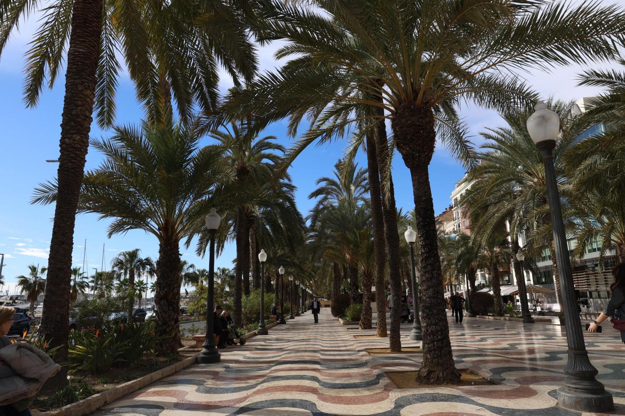 Alicantan Vital Experience Alicante Exterior photo